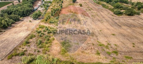  Land in Vila Cha de Ourique, Portugal No. 346835 6