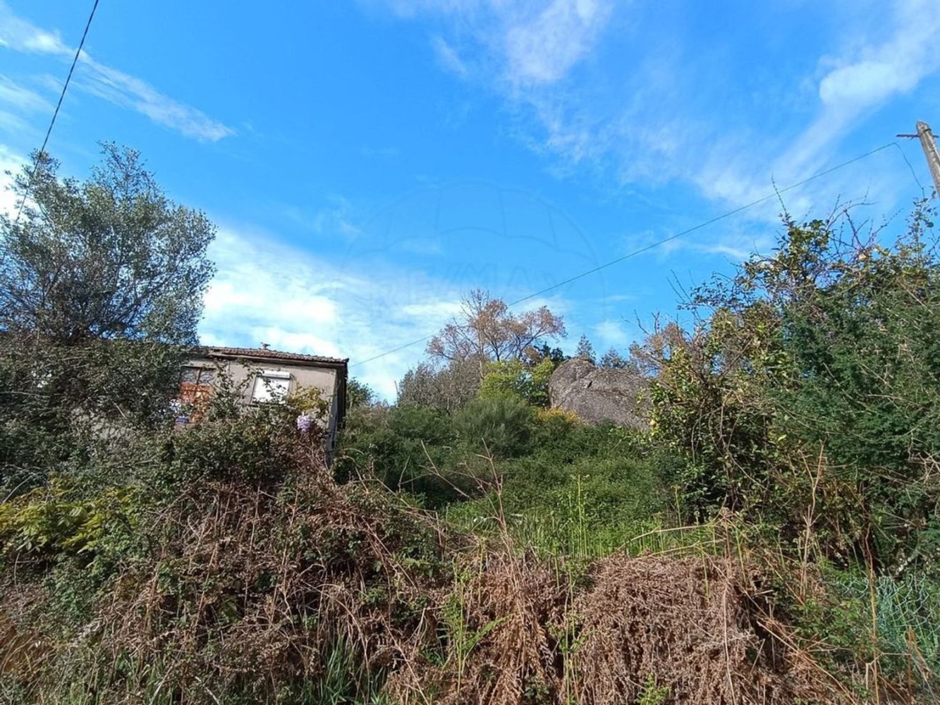 4 bedrooms House in Vieira do Minho, Portugal No. 176423