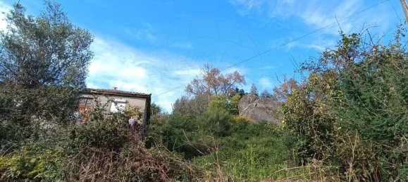 4 bedrooms House in Vieira do Minho, Portugal No. 176423 2