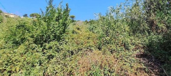 27173m² Land in Civitanova Marche, Italy No. 373444 8