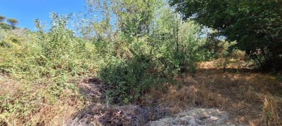 27173m² Land in Civitanova Marche, Italy No. 373444 9