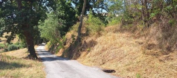 27173m² Land in Civitanova Marche, Italy No. 373444 10