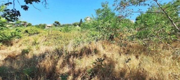 27173m² Land in Civitanova Marche, Italy No. 373444 6