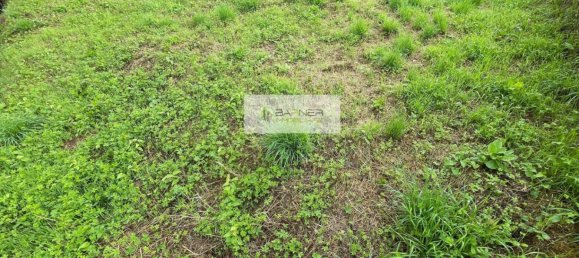 7 bedrooms Villa in Camaiore, Italy No. 374511 24