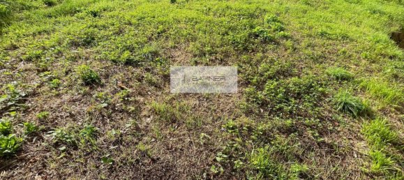 7 bedrooms Villa in Camaiore, Italy No. 374511 26