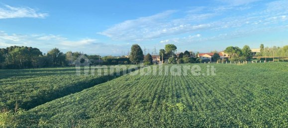 3 bedrooms House in Pianiga, Italy No. 358584 29