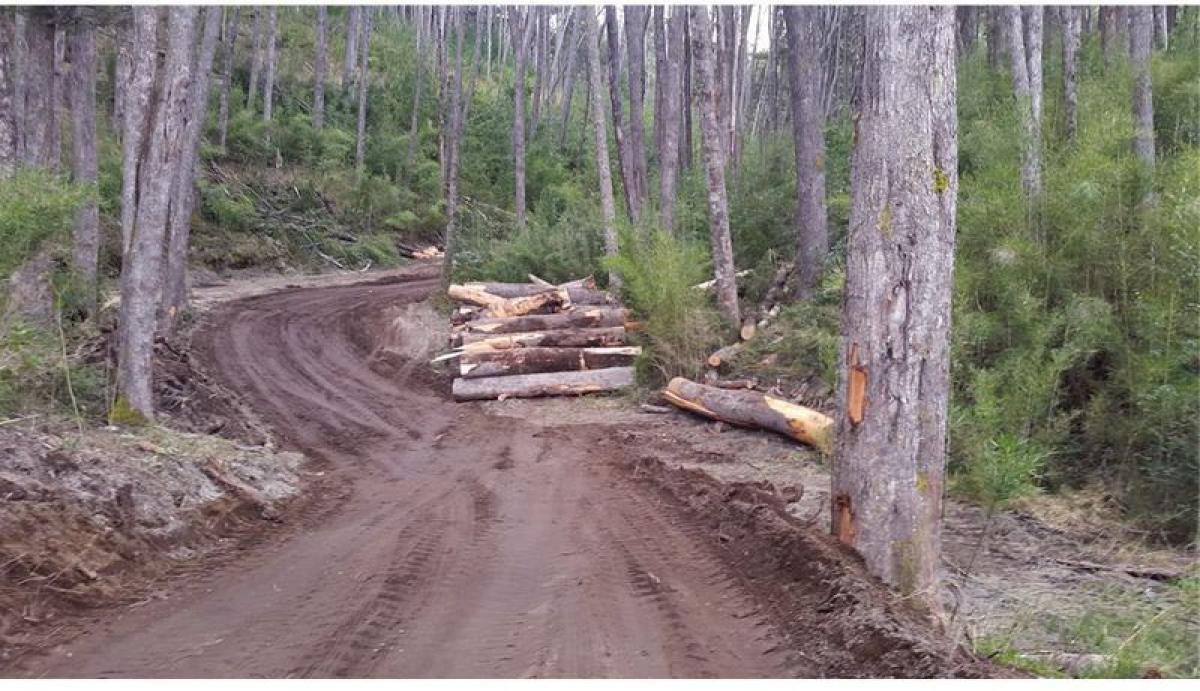 Grundstück in Neuquen, Argentina, Nr. 38181