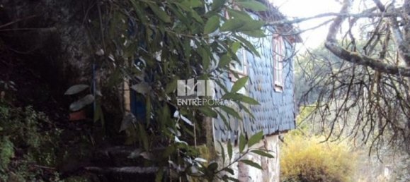 1 غرف نوم منزل في Baiao, Portugal رقم 80665 6