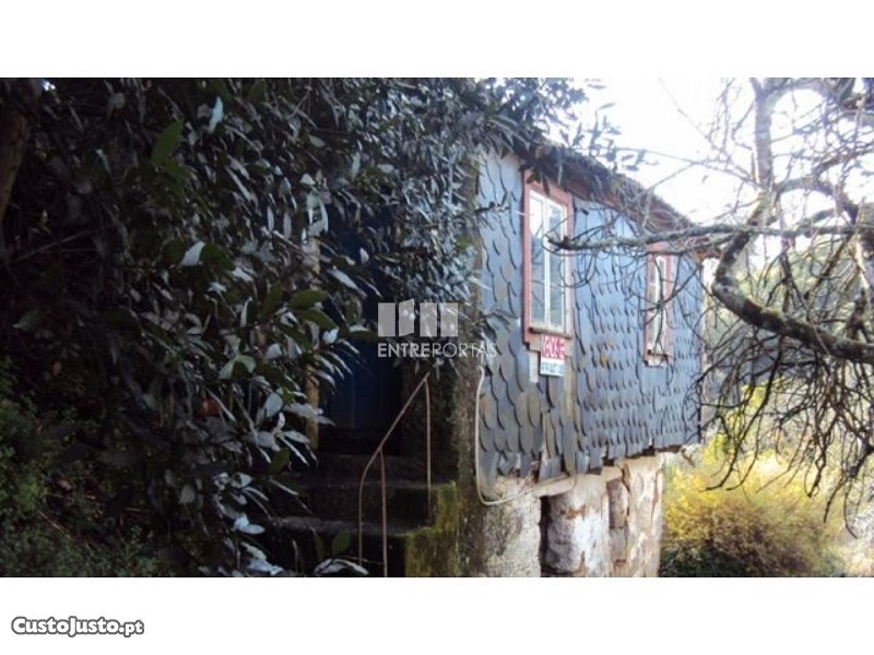 1 غرف نوم منزل في Baiao, Portugal رقم 80665