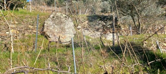 2 chambres Châteaux à Santa Marta de Penaguiao, Portugal No. 171575 24