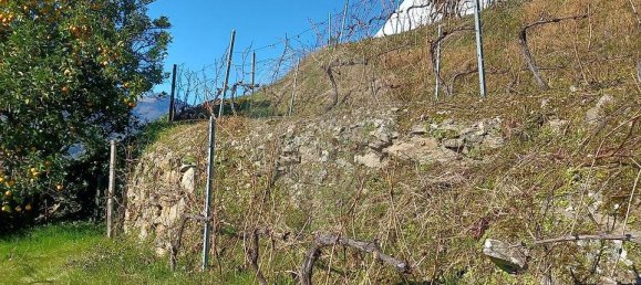 2 chambres Châteaux à Santa Marta de Penaguiao, Portugal No. 171575 26