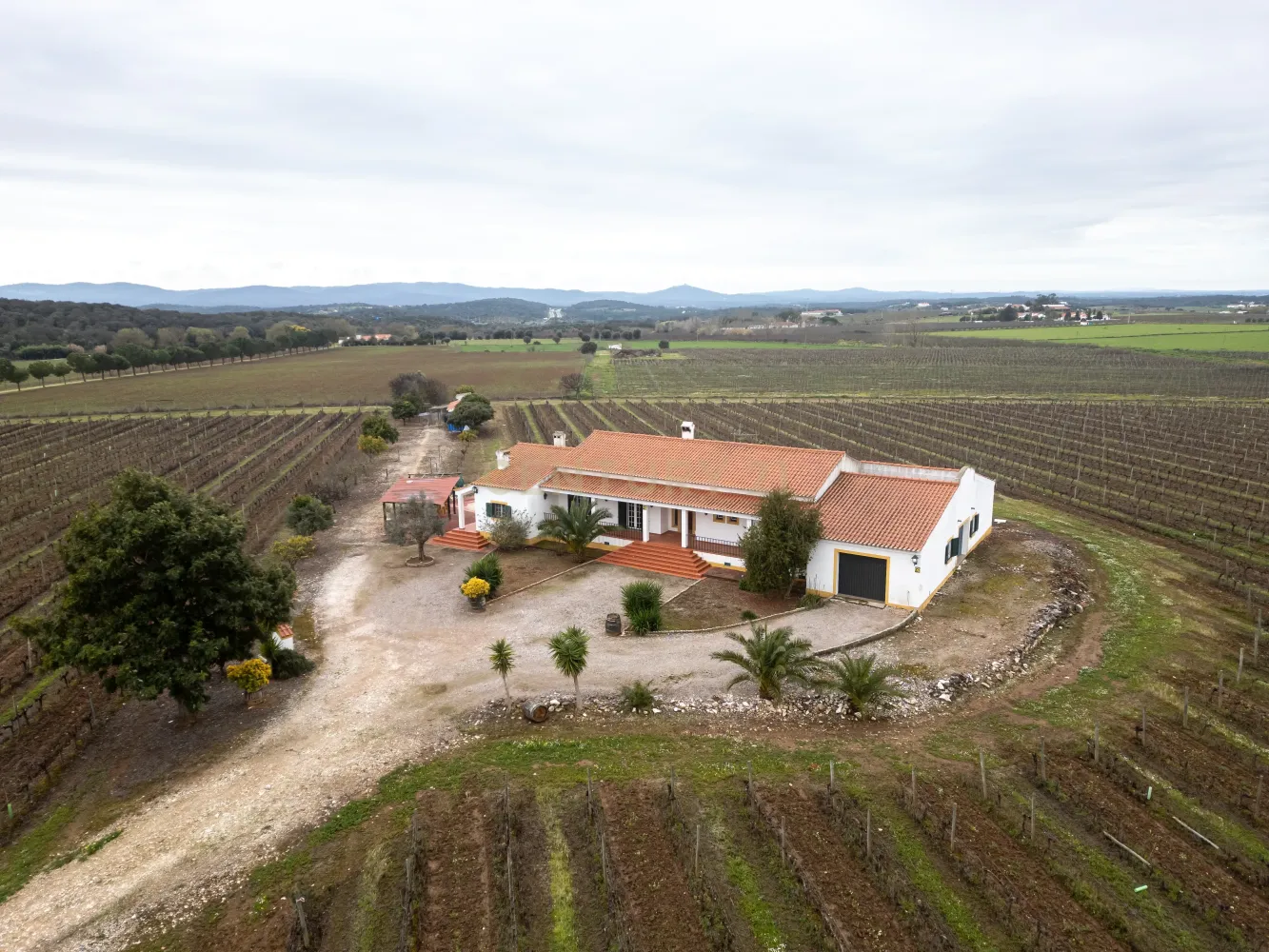 3 bedrooms Villa in Estremoz, Portugal No. 97737