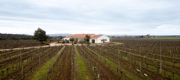 3 bedrooms Villa in Estremoz, Portugal No. 97737 30