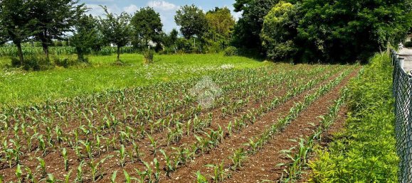 6 rooms House in Loria, Italy No. 3141 37