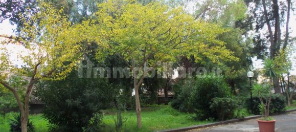 4 bedrooms Apartment in Catania, Italy No. 255524 12