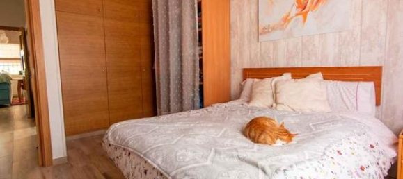 Casa T3 em San Vicente del Raspeig, Spain N.º 159663 3