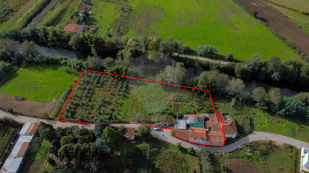 1 bedroom House in Lousa, Portugal No. 36824