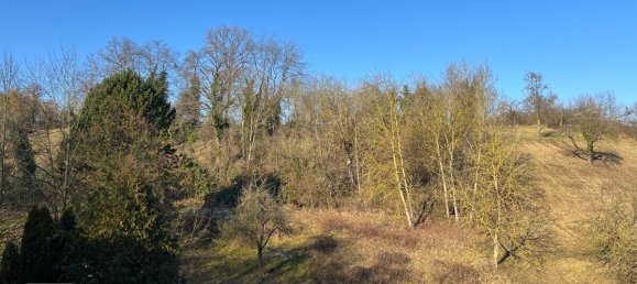 6 rooms House in Miltenberg, Germany No. 264685 2