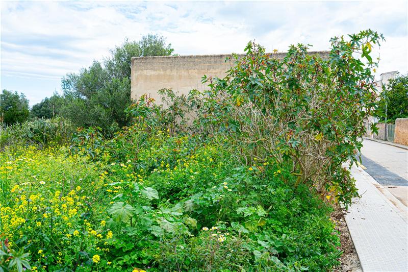 155m² Garage in Algaida, Spain No. 169067