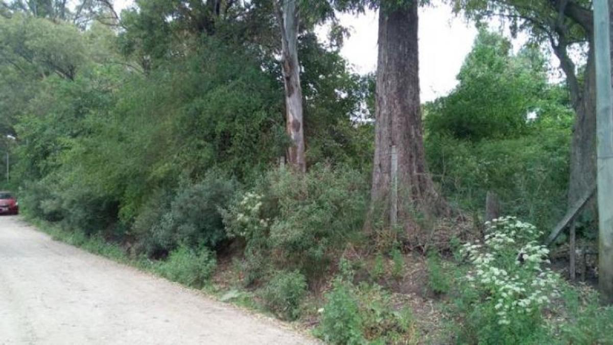 Terreno en San Miguel, Argentina No. 36546