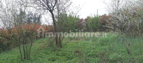 Apartamento T6 em Ferrara, Italy N.º 19557 9