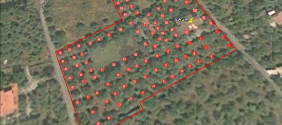 9-Zimmer Villa in Sassari, Italy, Nr. 256027 15