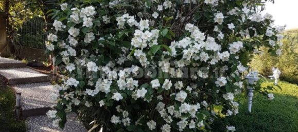 3 Schlafzimmer Villa in Serramazzoni, Italy, Nr. 254616 5