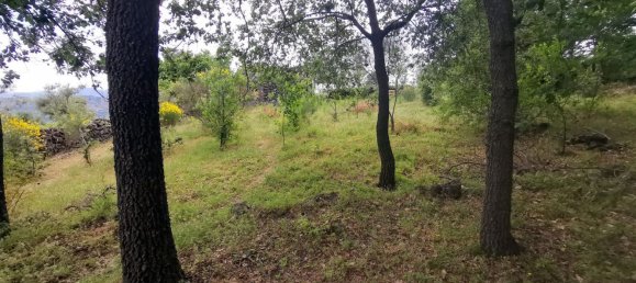 استوديو في Linguaglossa, Italy رقم 83216 9