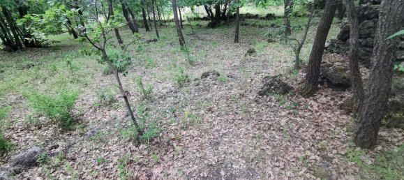 استوديو في Linguaglossa, Italy رقم 83216 24