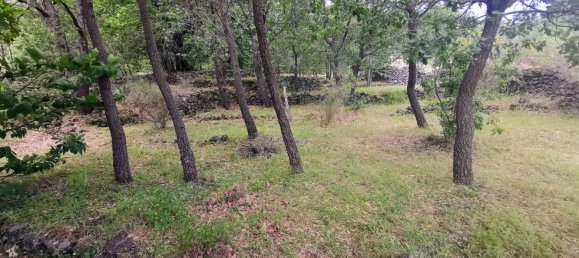 استوديو في Linguaglossa, Italy رقم 83216 15