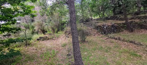 استوديو في Linguaglossa, Italy رقم 83216 16