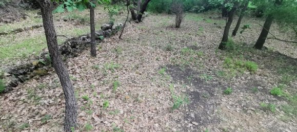 استوديو في Linguaglossa, Italy رقم 83216 23