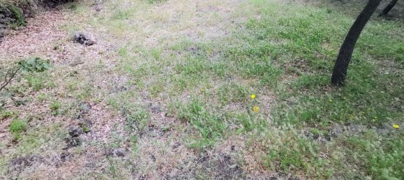 استوديو في Linguaglossa, Italy رقم 83216 21