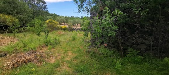 استوديو في Linguaglossa, Italy رقم 83216 27