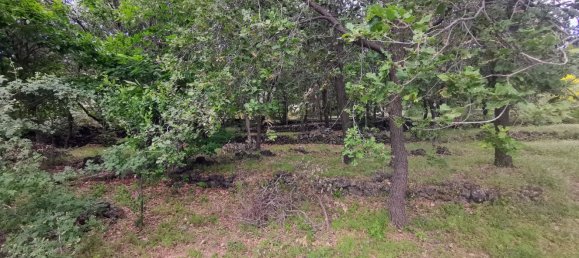 استوديو في Linguaglossa, Italy رقم 83216 11