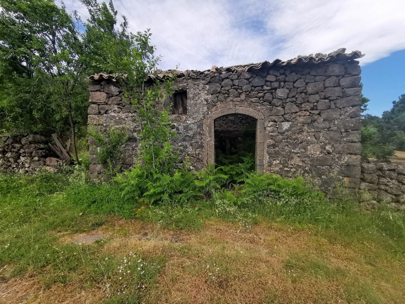 استوديو في Linguaglossa, Italy رقم 83216