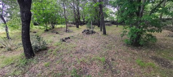 استوديو في Linguaglossa, Italy رقم 83216 13