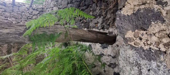 استوديو في Linguaglossa, Italy رقم 83216 32