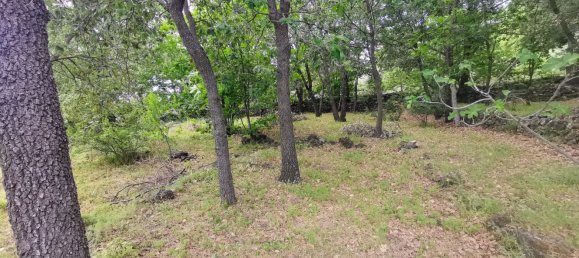 استوديو في Linguaglossa, Italy رقم 83216 12