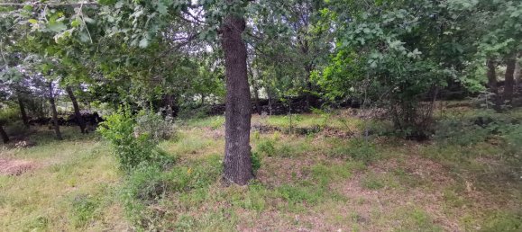 استوديو في Linguaglossa, Italy رقم 83216 10