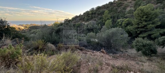 Grundstück in Marbella, Spain, Nr. 129761 8