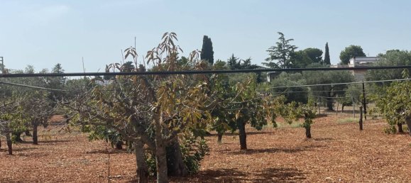 Terreno em Polignano a Mare, Italy 7284 m² N.º 209347 5