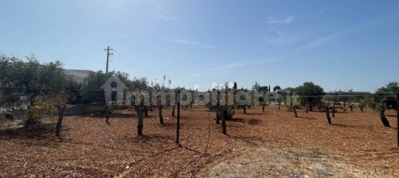 Terreno em Polignano a Mare, Italy 7284 m² N.º 209347 4