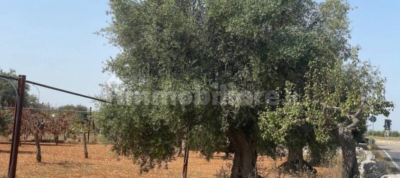 Terreno em Polignano a Mare, Italy 7284 m² N.º 209347 6