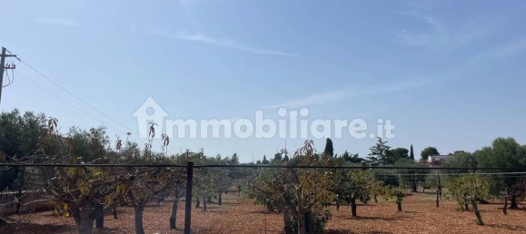 Terreno em Polignano a Mare, Italy 7284 m² N.º 209347 3