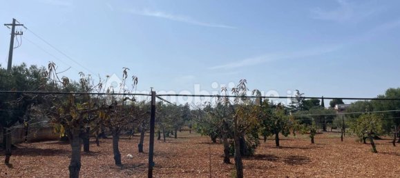 Terreno em Polignano a Mare, Italy 7284 m² N.º 209347 2