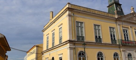 9 غرف نوم منزل في Benavente, Portugal رقم 106244 23