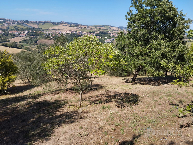 Terrain à Polverigi, Italy 5500m² No. 258375