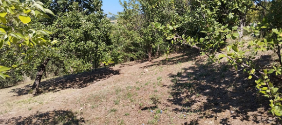 Terrain à Polverigi, Italy 5500m² No. 258375 6