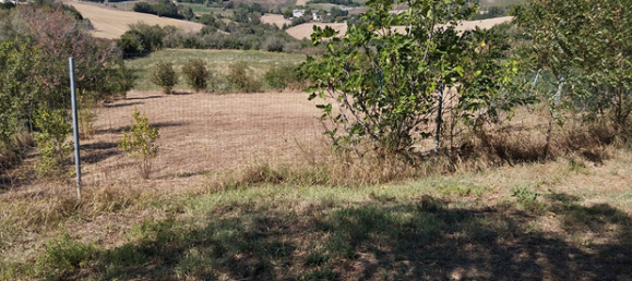 Terrain à Polverigi, Italy 5500m² No. 258375 2